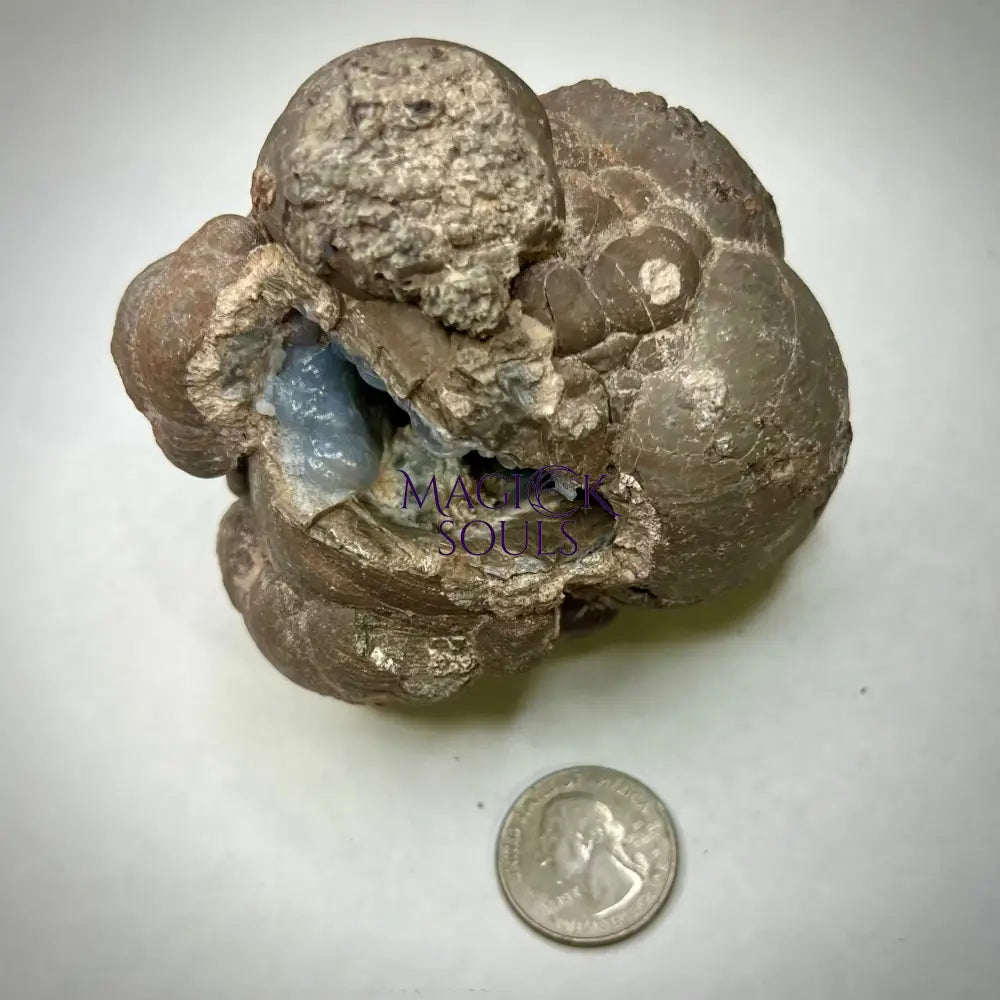 Hyalite Opal Geode - Magick Souls