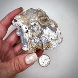 Hyalite Opal Geode - Magick Souls