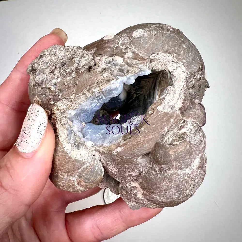 Hyalite Opal Geode - Magick Souls