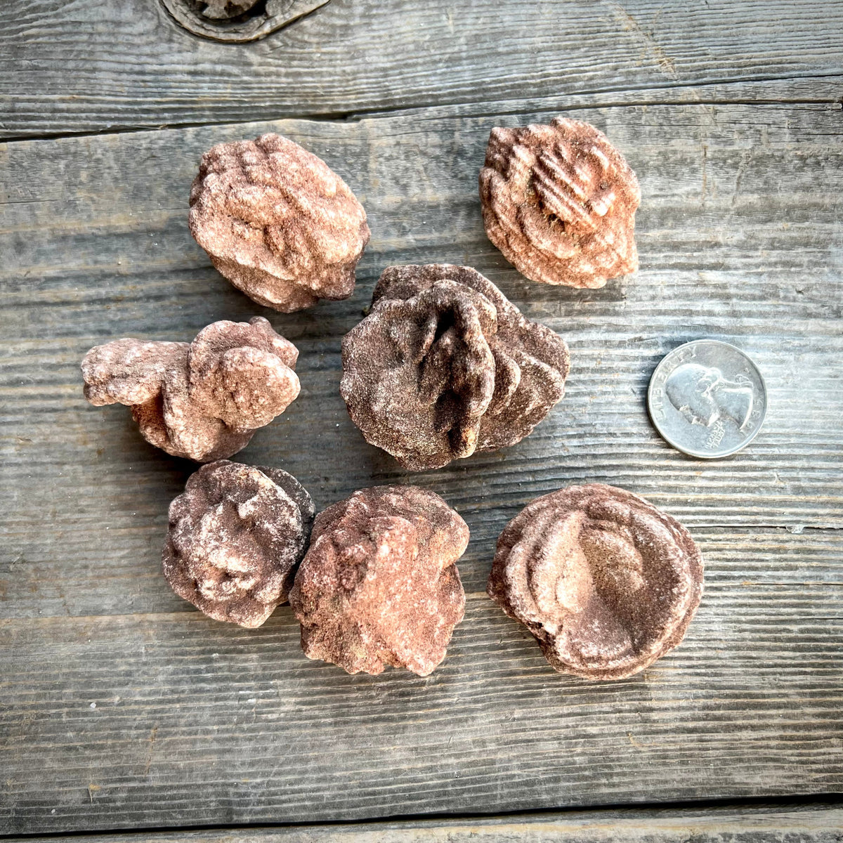Barite Roses aka Rose Rocks Magick Souls