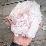 Large Pink Halite