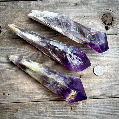 Amethyst Bahia Root Elestial Dragon Tooth Wand - Magick Souls