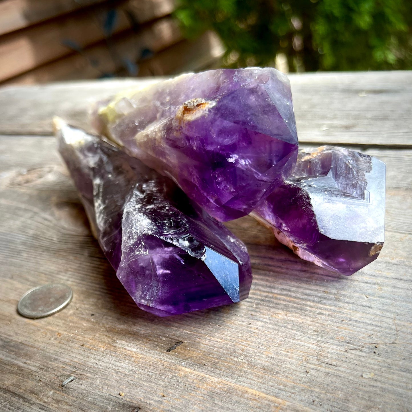 Amethyst Bahia Root Elestial Dragon Tooth Wand - Magick Souls