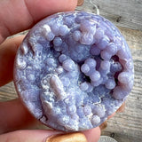 Grape Agate Crystal Bundle