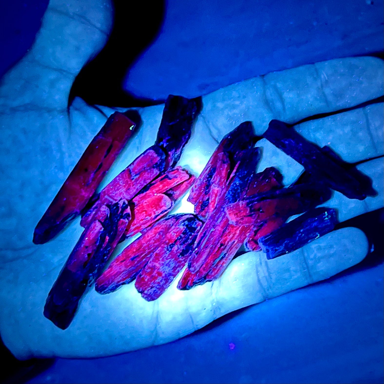 Rare Indigo Zimbabwe Kyanite Blades - Magick Souls