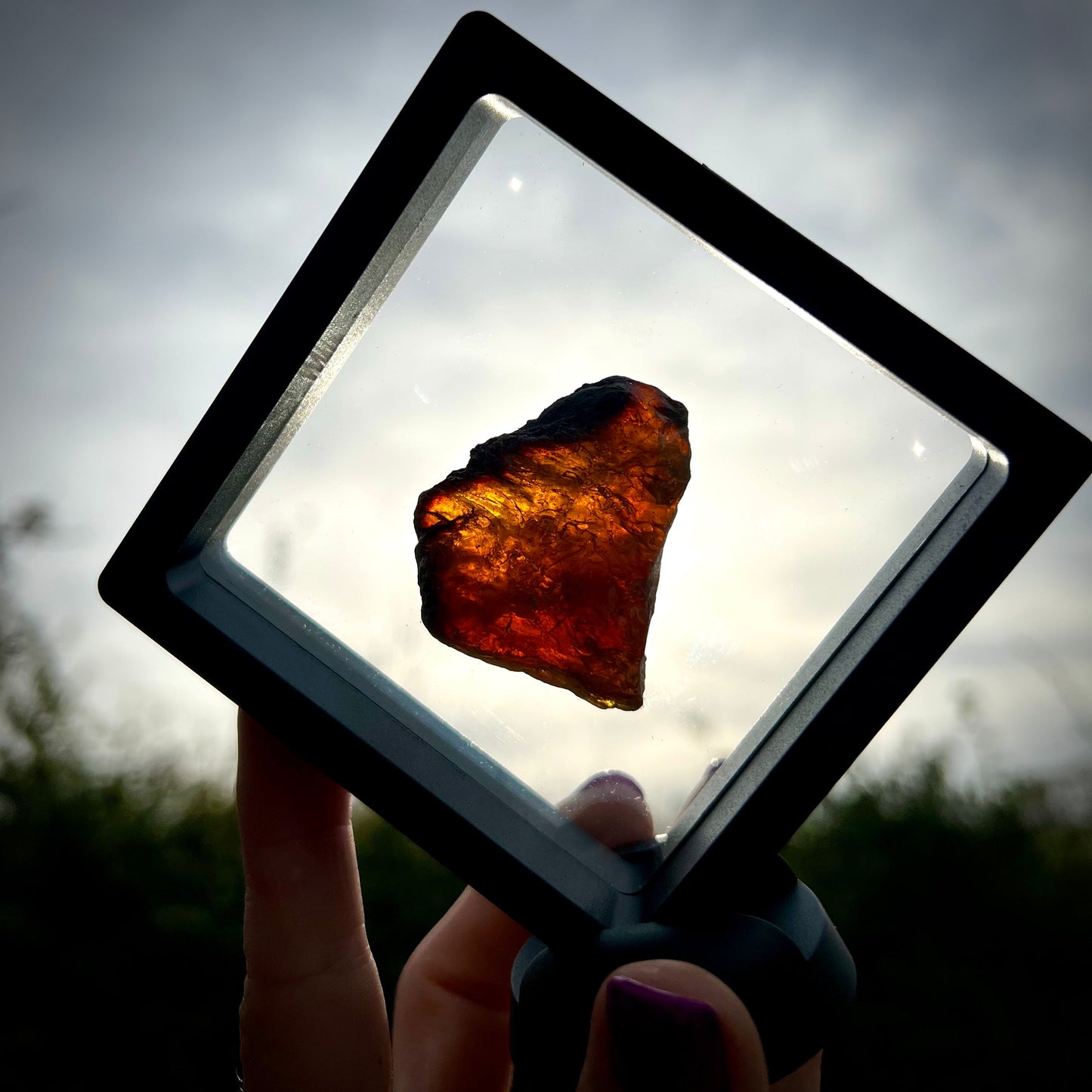 Blue UV Reactive Sumatran Amber in display - Magick Souls