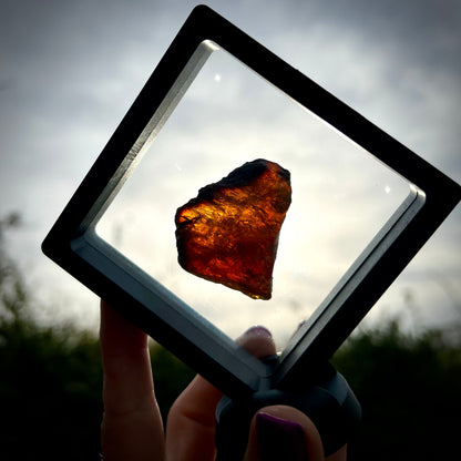 Blue UV Reactive Sumatran Amber in display - Magick Souls