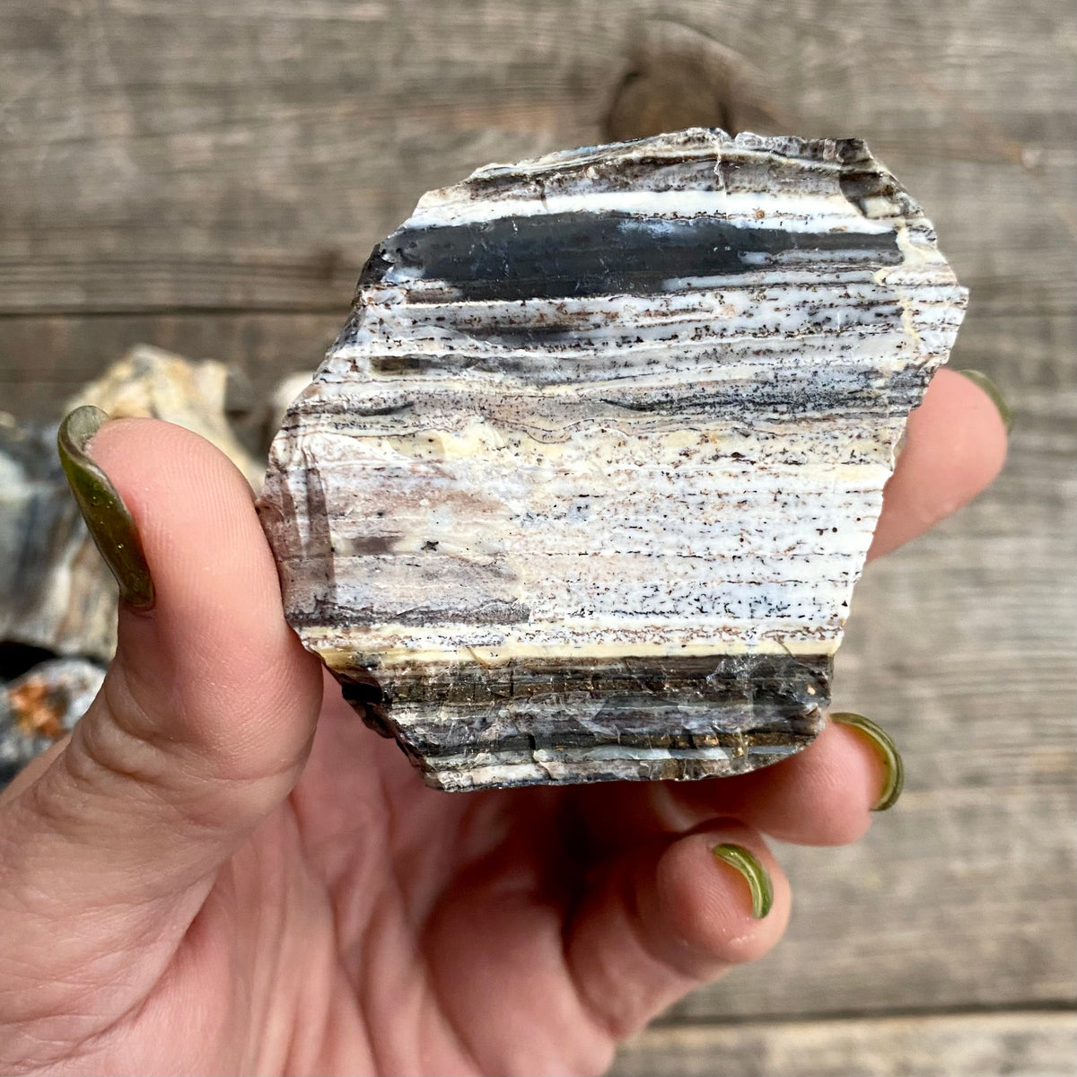 Large Natural Black Madagascar Opal - Magick Souls