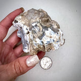 Hyalite Opal Geode