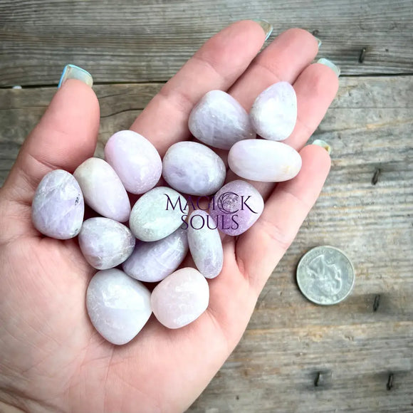 Kunzite Tumbled Crystal - Magick Souls