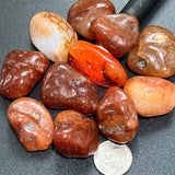 Large Carnelian Red Agate Tumbled Stones (By The Piece or Pound) Wholesale Home & Living > Home Decor > Home Accents >