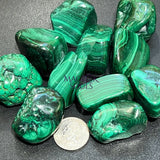 Large Extra Quality Premium Malachite Tumbled Stones (By The Piece or Pound) Home & Living > Home Decor > Home Accents