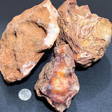 Large Extra Quality Red Carnelian Agate Crystal Boulders (4 8 Inches) Rough Raw Stones Home & Living > Home Decor >