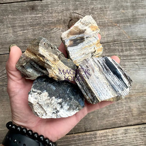 Large Natural Black Madagascar Opal - Magick Souls