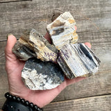 Large Natural Black Madagascar Opal - Magick Souls