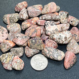 Leopard Skin Jasper Tumbled Stones (By The Piece or Pound) Wholesale Home & Living > Home Decor > Home Accents > Rocks