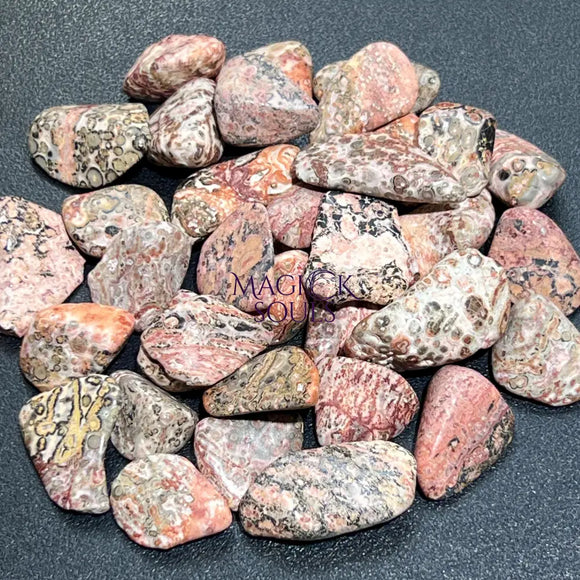 Leopard Skin Jasper Tumbled Stones (By The Piece or Pound) Wholesale Home & Living > Home Decor > Home Accents > Rocks