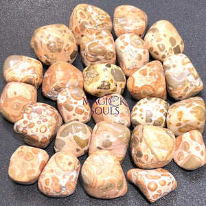 Leopardite (Leopard Jasper) Tumbled Stones (By The Piece or Pound) Wholesale Home & Living > Home Decor > Home Accents