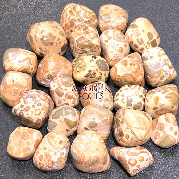 Leopardite (Leopard Jasper) Tumbled Stones (By The Piece or Pound) Wholesale Home & Living > Home Decor > Home Accents