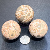 Leopardite Sphere (4 CM)(Leopard Skin Jasper) Bulk Wholesale Lot Polished Gemstone Decor Carving Home & Living > Home