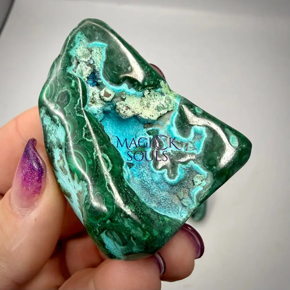 Malacholla Freeforms 1 Rocks & Fossils