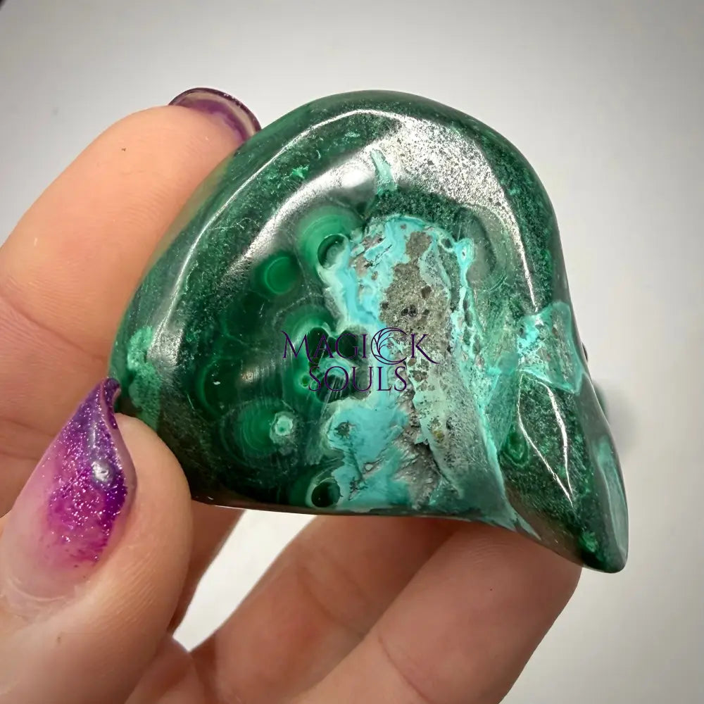 Malacholla Freeforms 5 Rocks & Fossils
