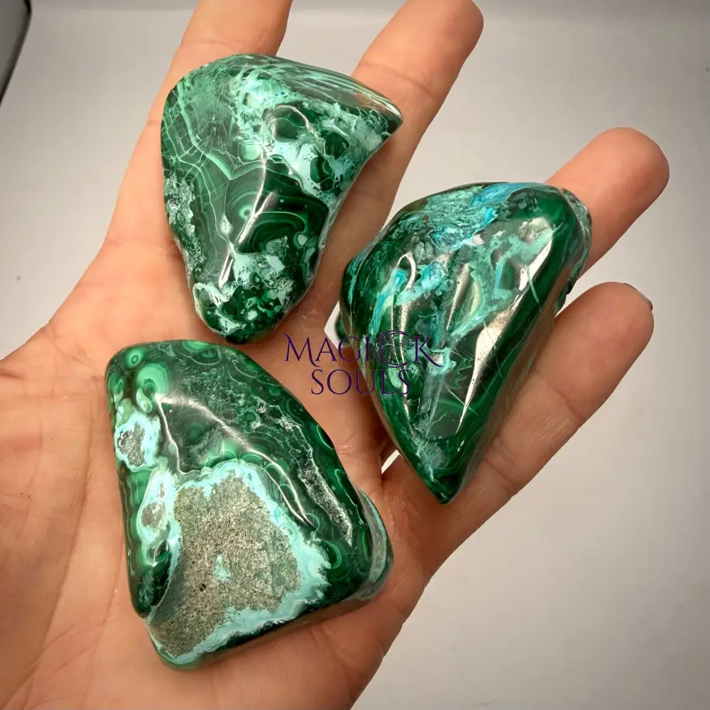 Malacholla Freeforms Rocks & Fossils