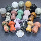 Mixed Crystal Mushrooms Gemstone Carving Decor Bulk Wholesale Home & Living > Home Decor > Home Accents > Rocks & Geodes