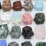 Mixed Gemstone Owl Carving Collection (24 Pcs) Bulk Wholesale Assorted Flat Box Home & Living > Home Decor > Home