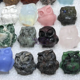 Mixed Gemstone Owl Carving Collection (24 Pcs) Bulk Wholesale Assorted Flat Box Home & Living > Home Decor > Home