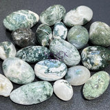 Moss & Tree Agate Tumbled Stones Mixed Quality (By The Piece or Pound) Bulk Wholesale Lot Home & Living > Home Decor >