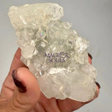 Natural Apophyllite Crystal Clusters 3