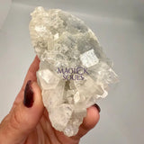 Natural Apophyllite Crystal Clusters 4