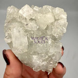 Natural Apophyllite Crystal Clusters 5