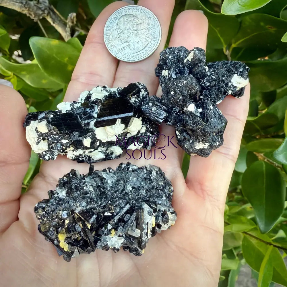 Natural Black Schorl Tourmaline & Smoky Quartz – Namibia S Rocks & Fossils