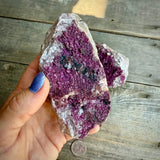 Natural Druzy Cobaltoan Calcite (Salrose) on Dolomite Matrix — Congo C Rocks & Fossils
