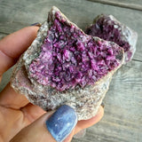 Natural Druzy Cobaltoan Calcite (Salrose) on Dolomite Matrix — Congo E Rocks & Fossils