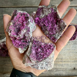 Natural Druzy Cobaltoan Calcite (Salrose) on Dolomite Matrix — Congo Rocks & Fossils