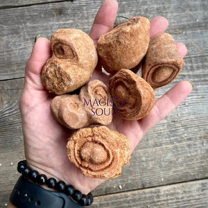 Natural Stromatolites - Magick Souls