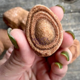 Natural Stromatolites - Magick Souls