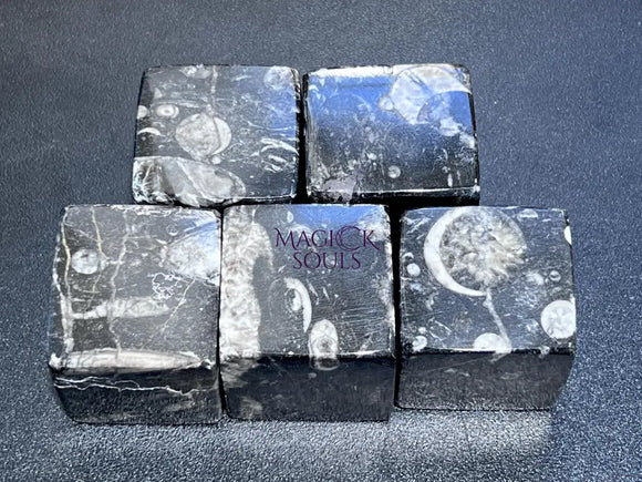 Orthoceras Fossil Cube Stone Carving Gemstone Decor Supply Bulk Wholesale Home & Living > Home Decor > Home Accents >