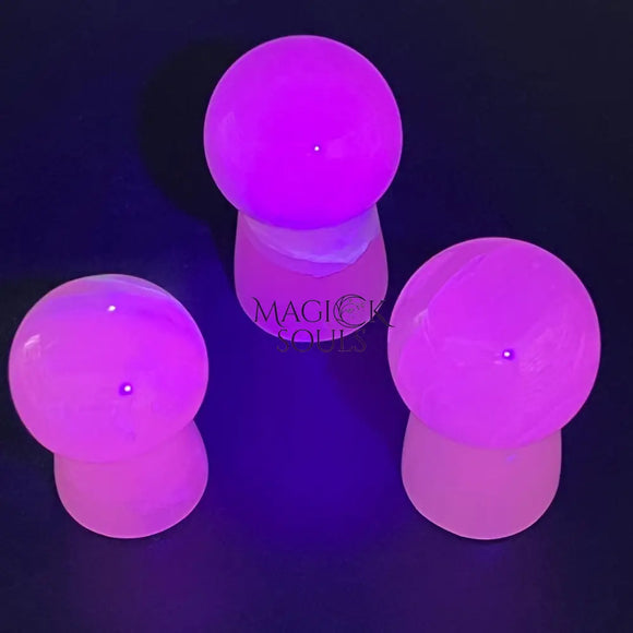 Pink Mangano Calcite Mushroom (UV Reactive) Gemstone Carving Home & Living > Home Decor > Home Accents > Rocks & Geodes