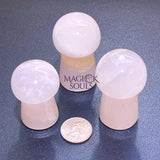 Pink Mangano Calcite Mushroom (UV Reactive) Gemstone Carving Home & Living > Home Decor > Home Accents > Rocks & Geodes