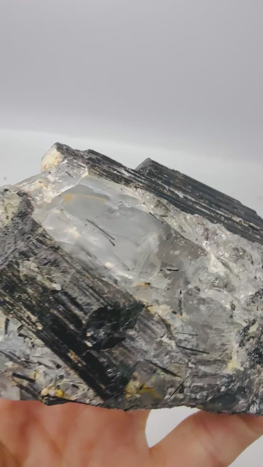 Black tourmaline on tourmalinated quartz specimen video - Magick Souls