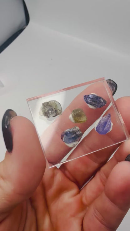 Raw Tanzanite Gemstone Crystal Set Grade A Natural on Display