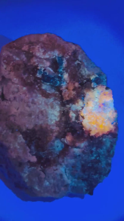 Afghanite Mineral Specimen on matrix – UV Reactive from Afghanistan
