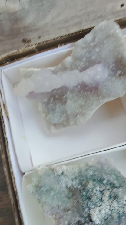Amethyst Flower Cluster Plates — Rare Natural Specimens