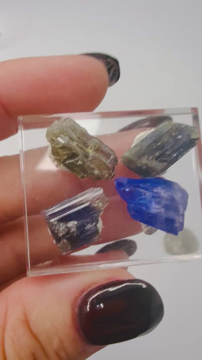Raw Tanzanite Gemstone Set – Grade A Natural Crystals on Display