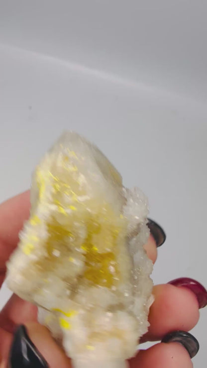 Spirit Quartz Specimen – Natural Cactus Quartz Point from South Africa