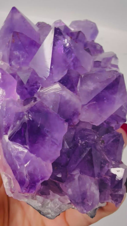 Grade A Brazilian Amethyst Cluster